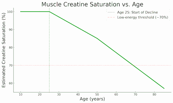 creatine loss with age